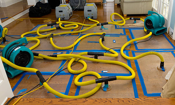 Professional Storm Water Damage Restoration technician working in Plaquemine, LA
